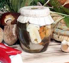 Mix champignons de Calabre